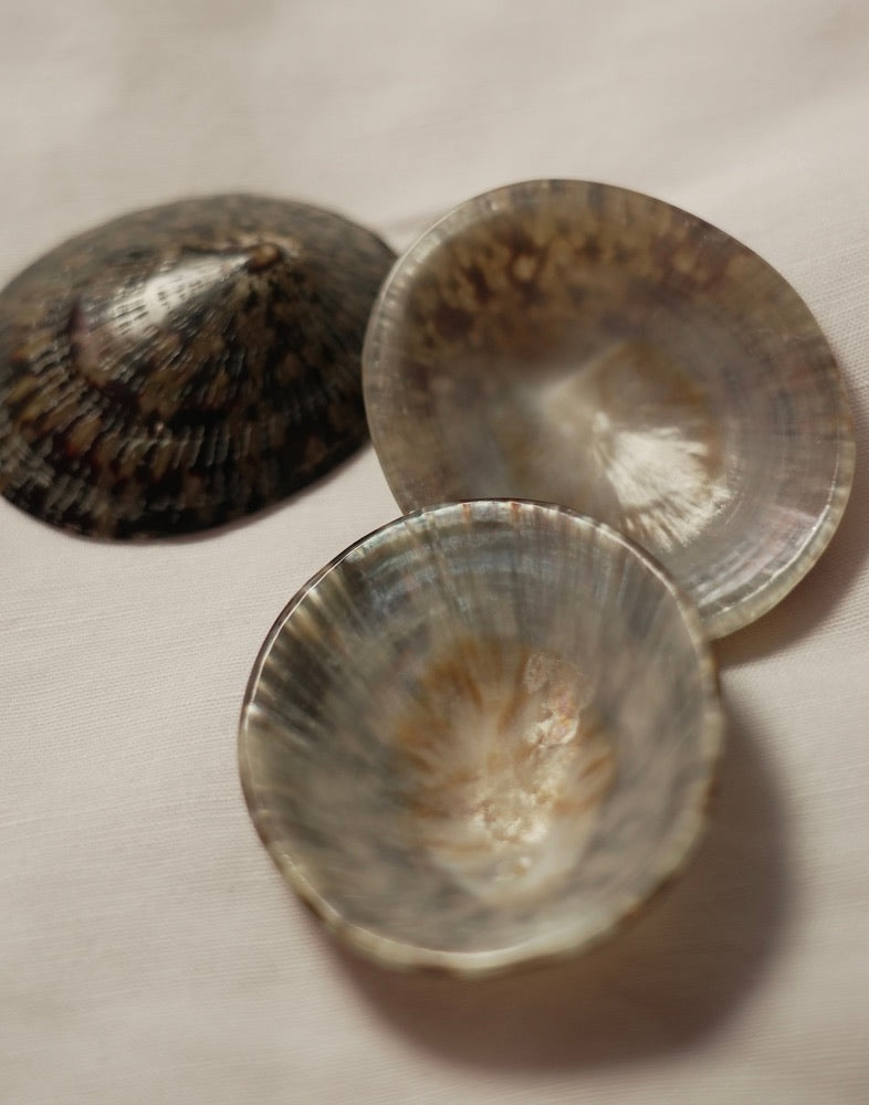 Coquillages d'Allaitement SUR MESURE - Bébé Nacre