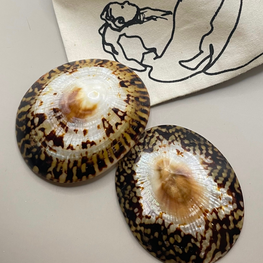 Coquillages d'allaitement en nacre naturelle Bébé Nacre pour protéger les mamelons
