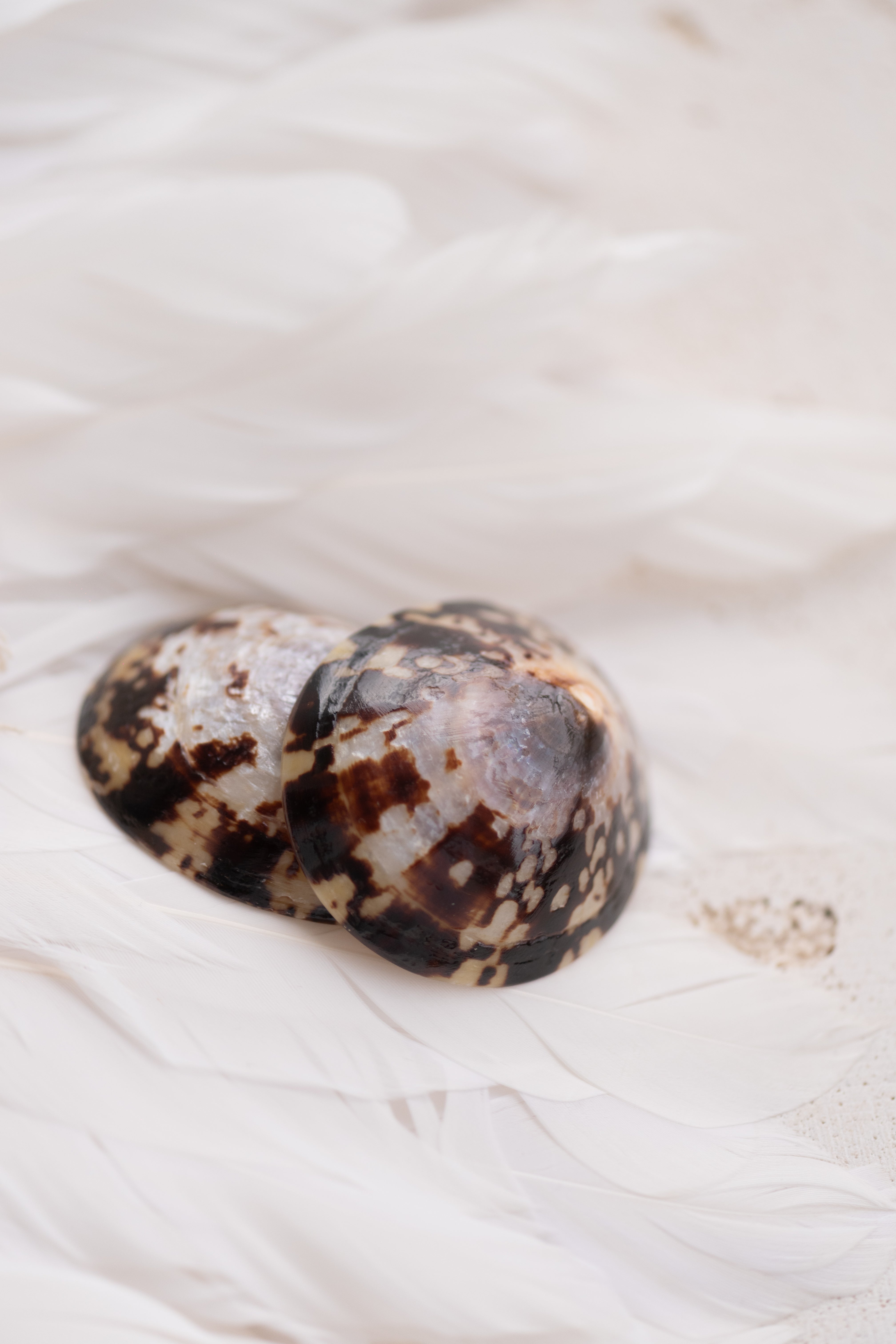 Coquillages d’Allaitement “Pure Nacre” + Bracelet “J’allaite” – Bébé Nacre