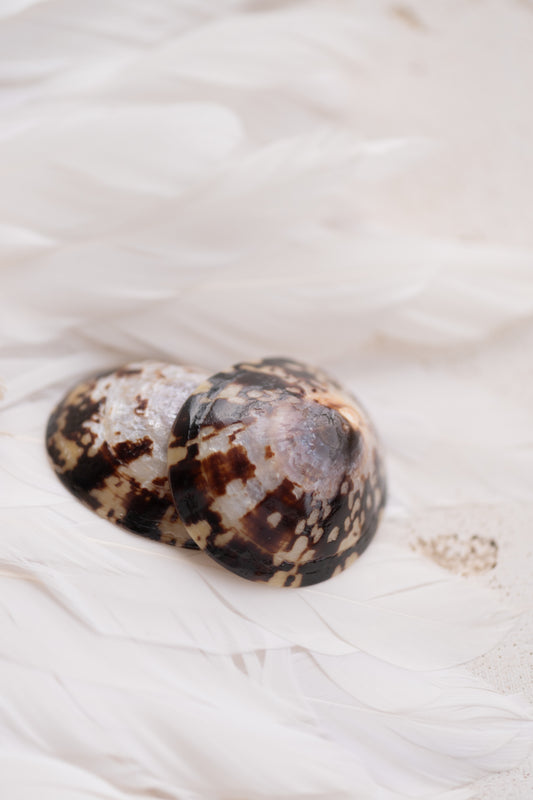 Coquillages d’allaitement “Pure Nacre” + Bracelet “J’allaite” – Bébé Nacre