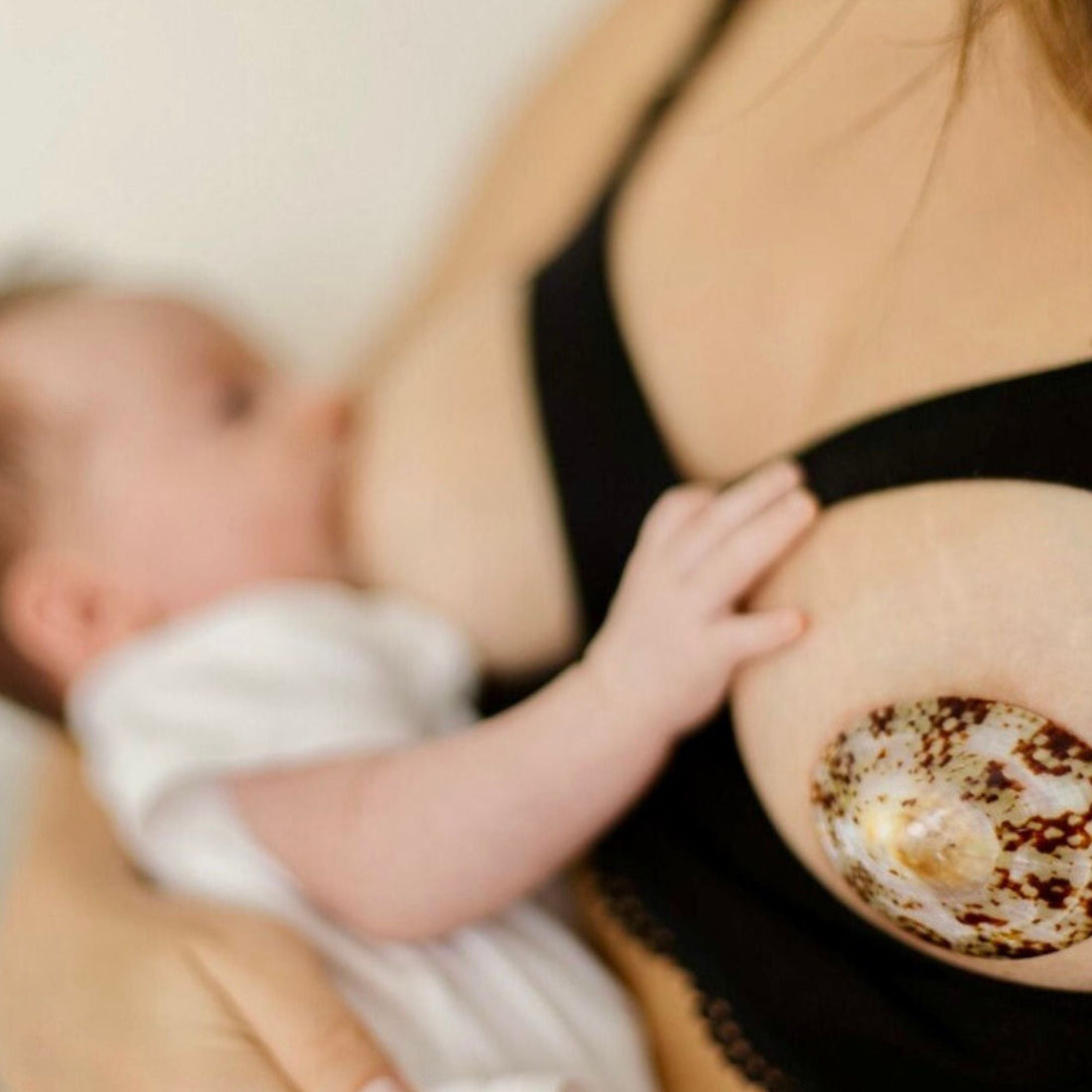 coquillages_allaitement - baby_nacre - soin_crevasses