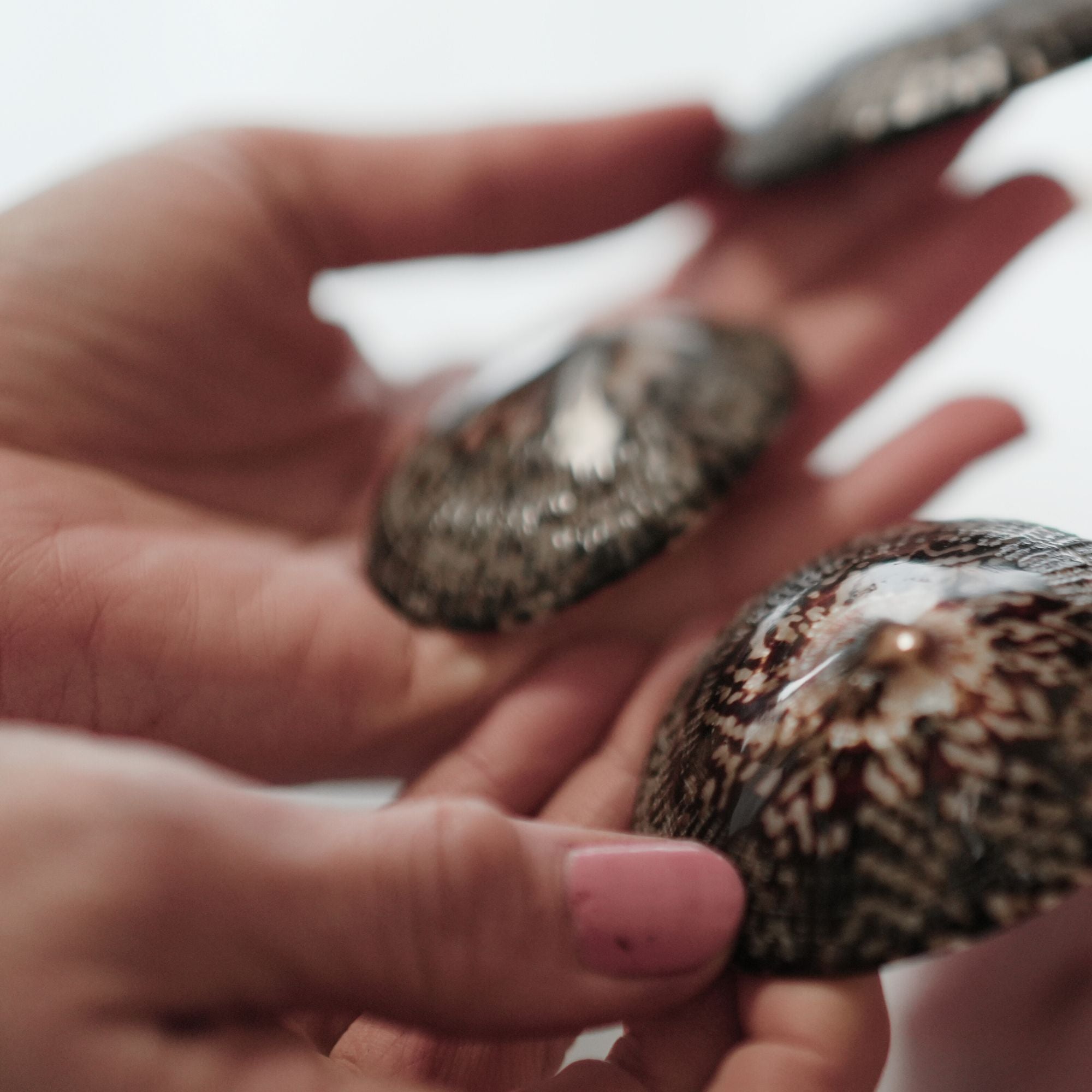 coquillages_allaitement - baby_nacre - soin_crevasses