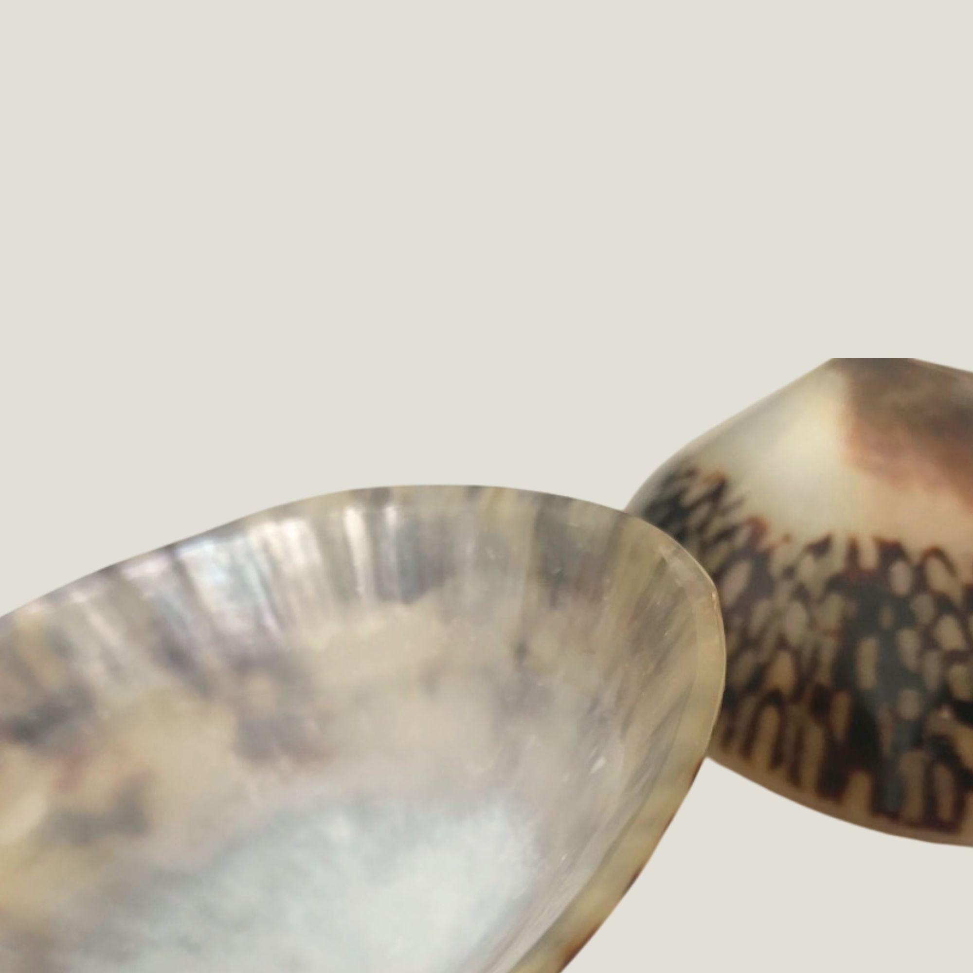 coquillages_allaitement - baby_nacre - soin_crevasses