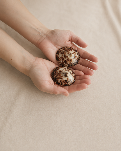 Coquillages d’allaitement naturels, taille guidée par Bébé Nacre